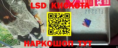 индика Кулебаки