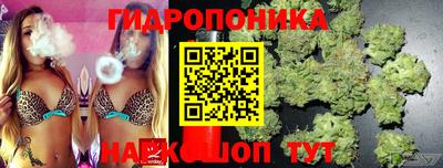 индика Кулебаки