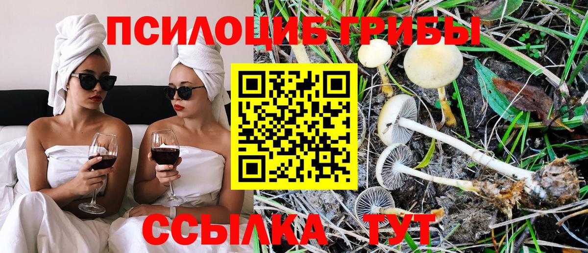 Галлюциногенные грибы GOLDEN TEACHER Георгиевск